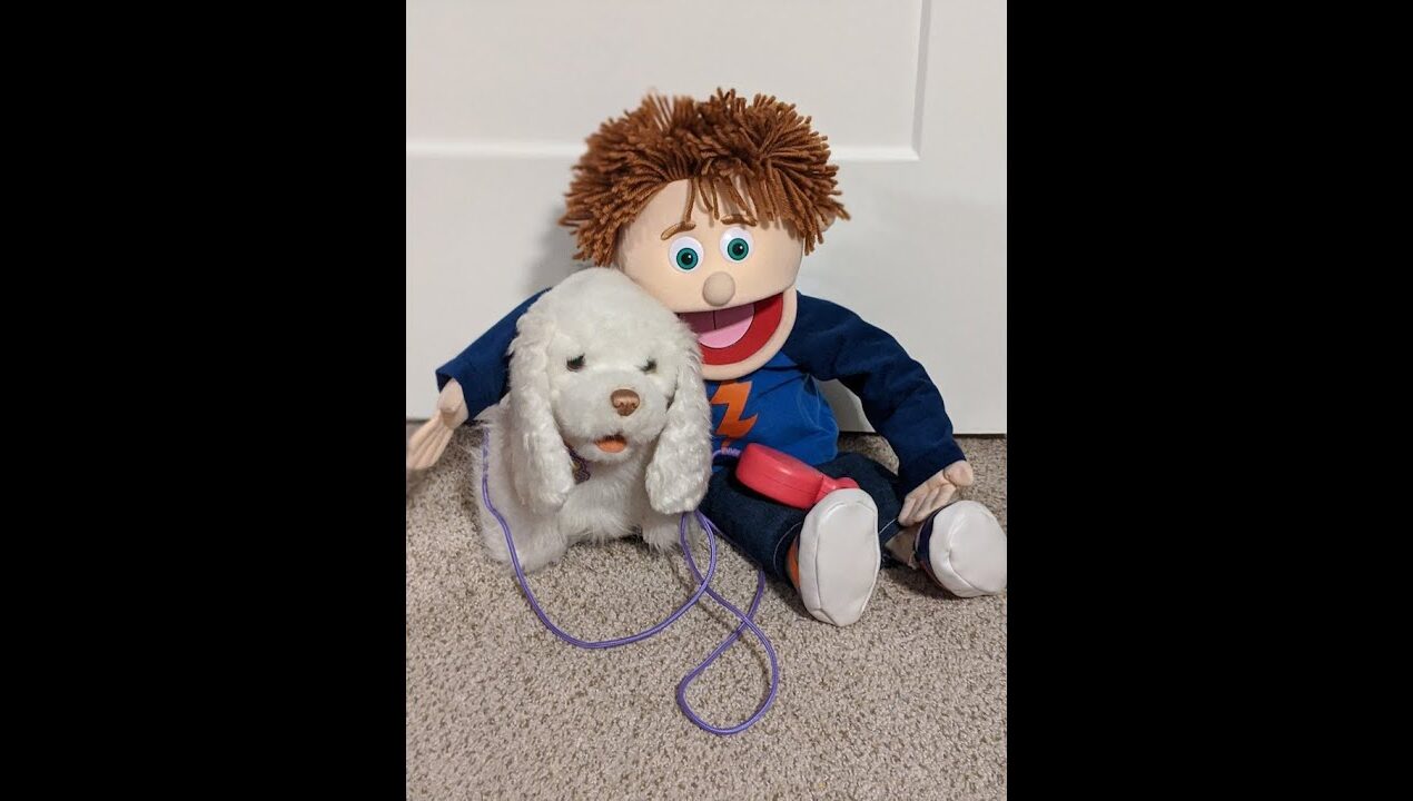 Meet Tommy’s New Pet! Social Emotional Learning Puppet Show